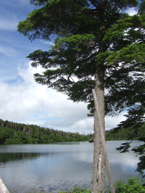 c0229062_1626556.jpg