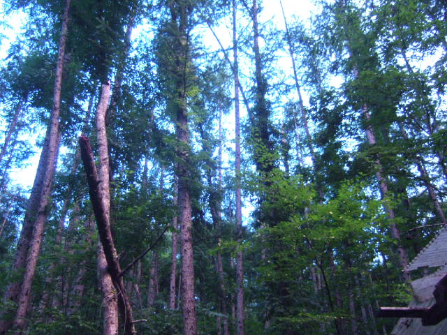 c0229062_1684030.jpg