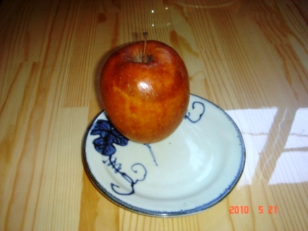 リンゴの運命?_a0117168_8381924.jpg