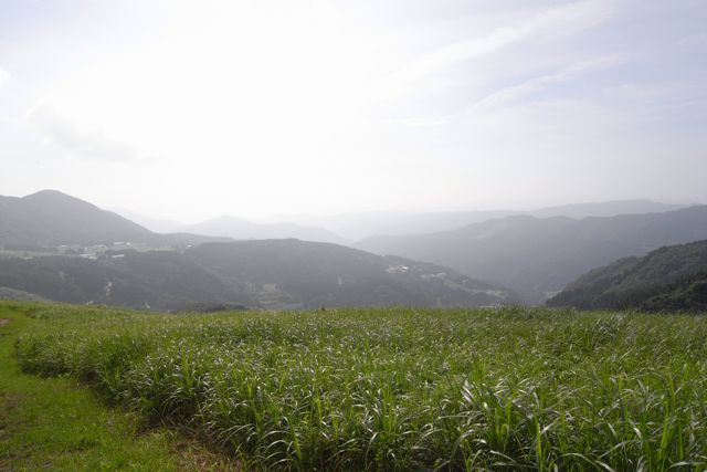 氷ノ山ー鉢伏山縦走（最終日2010/7/25：鉢伏山まで縦走）_c0218468_20492632.jpg