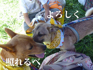 f0238772_0272039.jpg