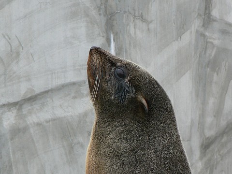 那須動物王国にて_d0010073_22453679.jpg