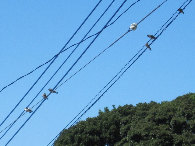b0182884_1005729.jpg