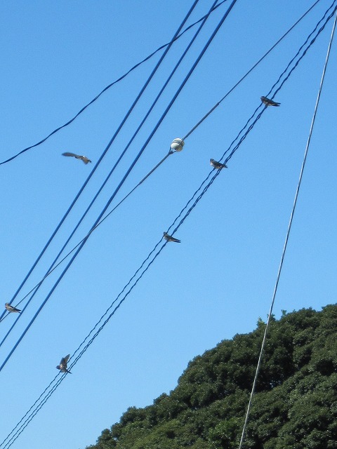 b0182884_1012119.jpg