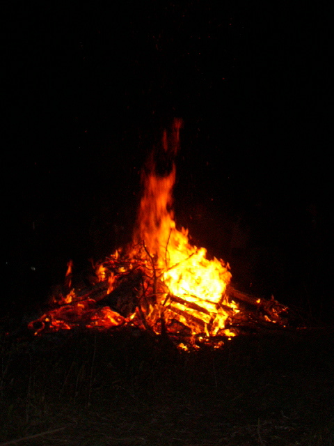 Are you a Wood Fire!?_e0172184_2347661.jpg