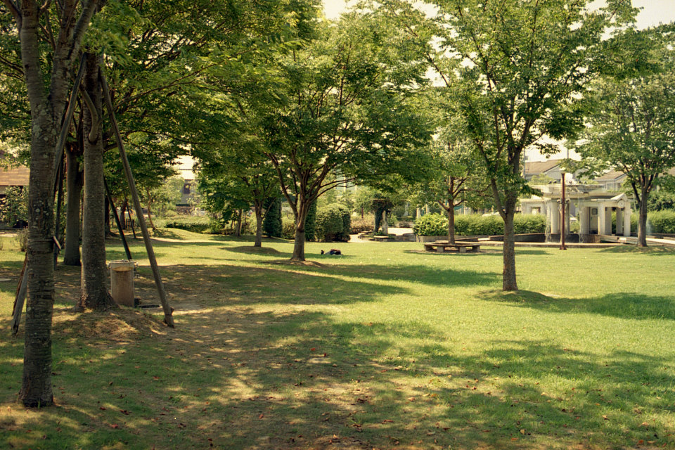 f0121786_20174963.jpg