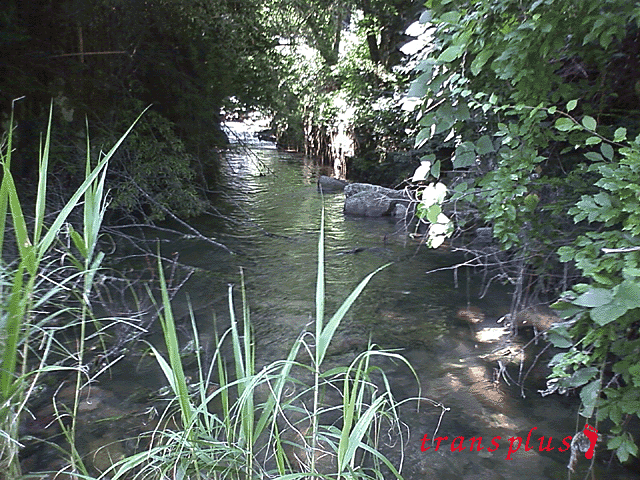 b0031493_234295.gif