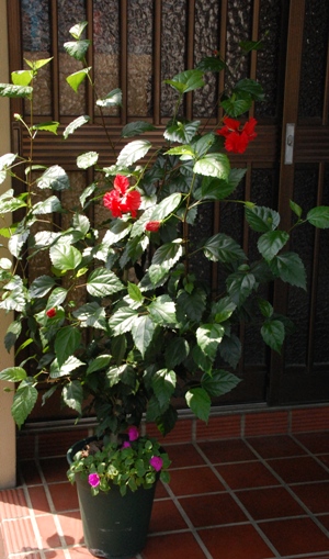 d0153294_10284149.jpg