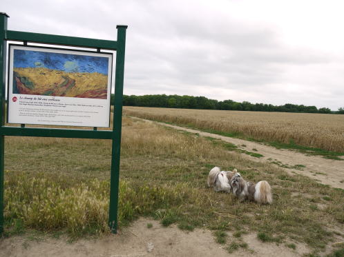 c0090198_334450.jpg