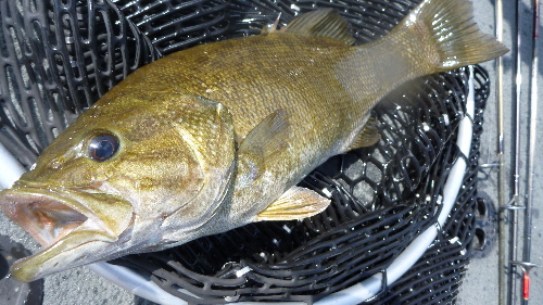 2010.07.24　野尻湖(長野県）_c0182098_1621129.jpg