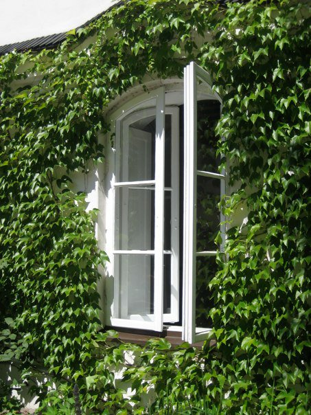 c0171899_0141215.jpg