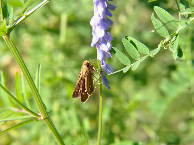 b0159904_1352506.jpg