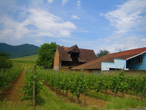 d0135907_5562038.jpg