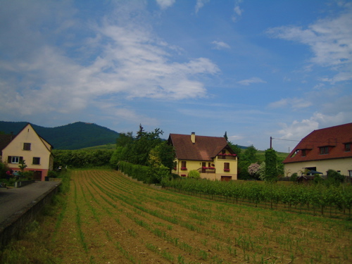 d0135907_5571970.jpg