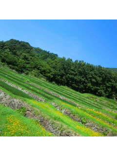 f0009509_12243927.jpg