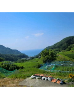 f0009509_12243972.jpg