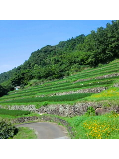 f0009509_12243993.jpg