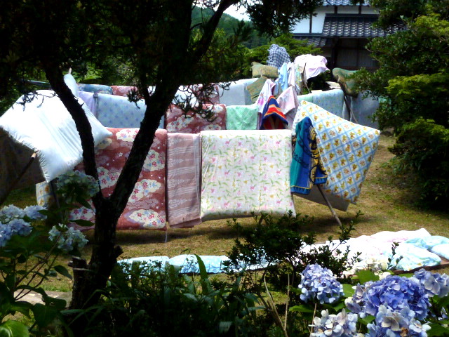 a0080610_11395512.jpg