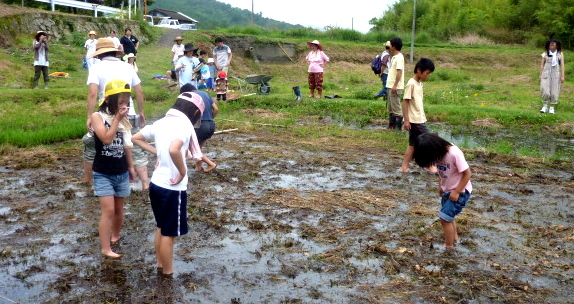 a0080610_822356.jpg