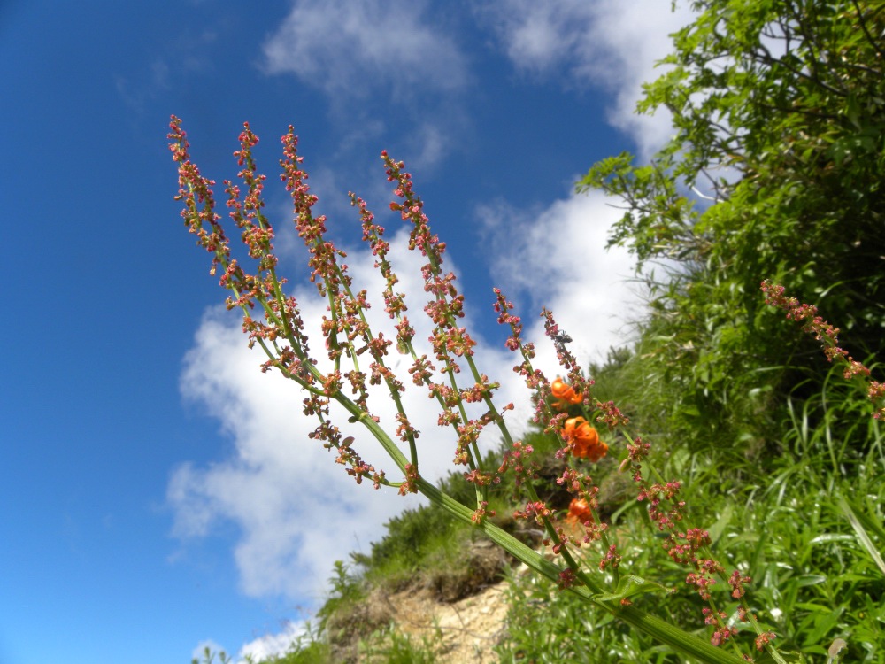 c0078410_813679.jpg