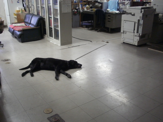 c0116610_11294984.jpg