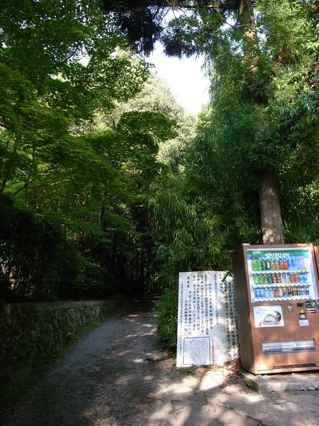 d0164411_19103821.jpg