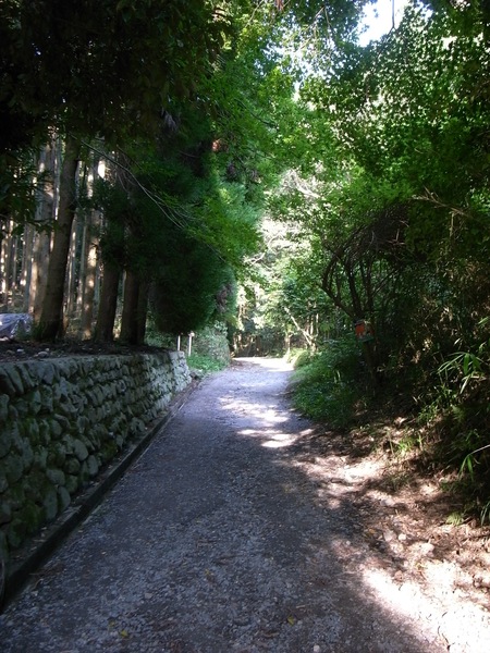 d0164411_1911463.jpg