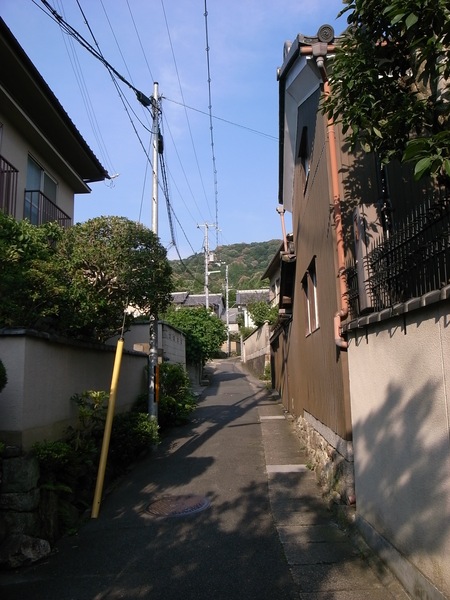 d0164411_1992718.jpg