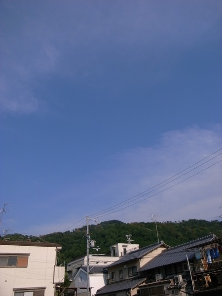 d0164411_199645.jpg
