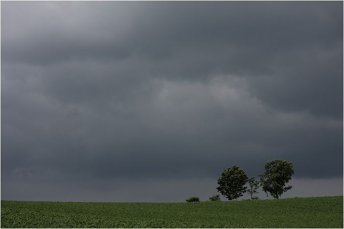 f0139911_2121542.jpg