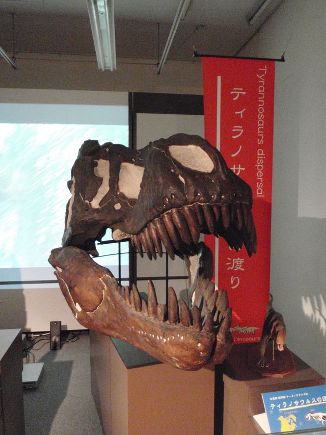 博物館特別展 アラスカの恐竜_c0025115_19161169.jpg