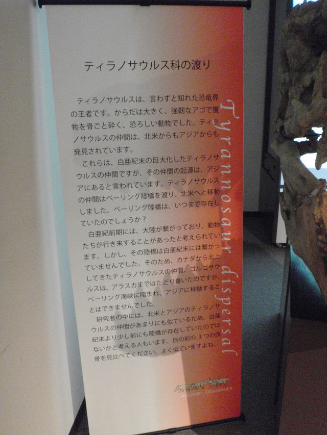 博物館特別展 アラスカの恐竜_c0025115_1916164.jpg
