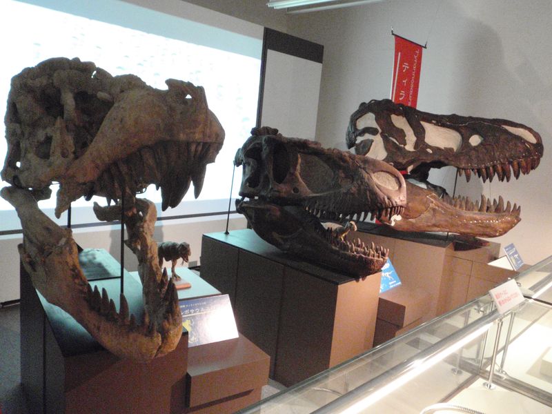 博物館特別展 アラスカの恐竜_c0025115_1916874.jpg