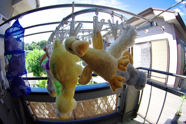 c0216518_812340.jpg