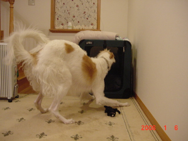 e0190220_0284546.jpg