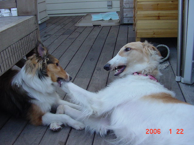 e0190220_0343523.jpg