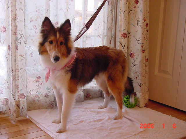 e0190220_0415649.jpg