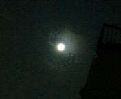 f0195131_042314.jpg