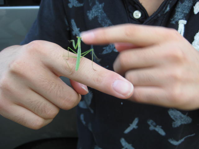 e0166032_1858051.jpg
