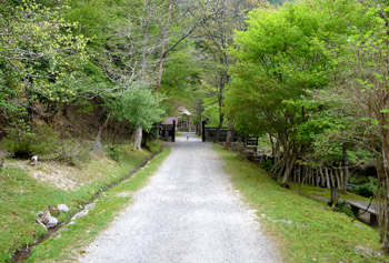b0035734_17184020.jpg