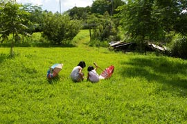 ＊くるくるくるくるまわるまわるまわる_a0030038_1403390.jpg