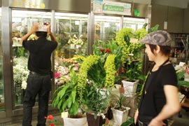 ＊フライガールとかき氷_a0030038_14151815.jpg