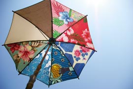 ＊フライガールとかき氷_a0030038_14173774.jpg