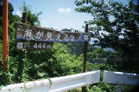 ＊心が空っぽの野菜_a0030038_14234876.jpg