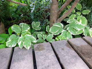 b0178339_16305940.jpg