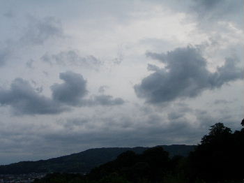 a0054240_21415282.jpg