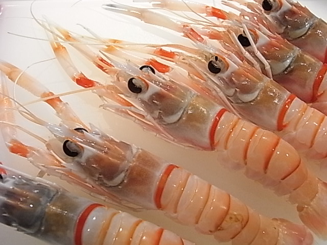 今月最後のお教室_b0145846_15592050.jpg
