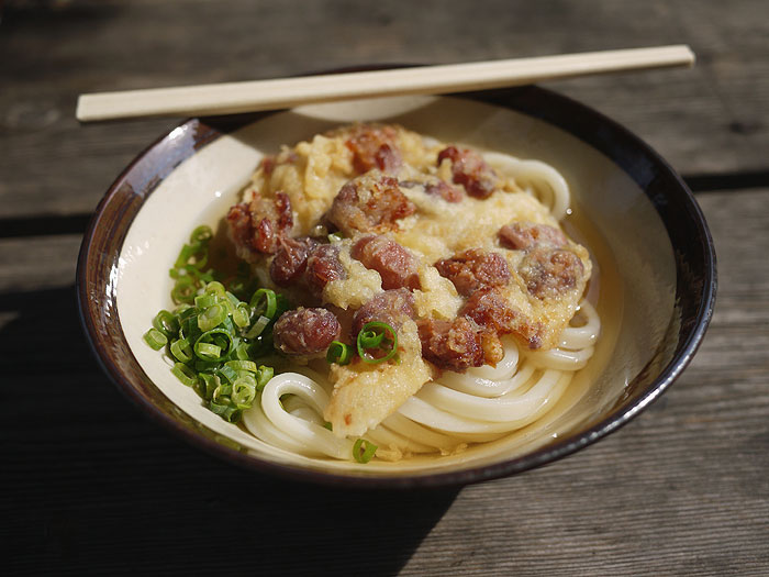 讃岐うどん 1軒目 がもううどん 香川県 坂出 ころりんの 道楽もんのこころだぁ 讃岐うどん 1軒目 がもううどん 香川県 坂出 ころりんの 道楽もんのこころだぁ