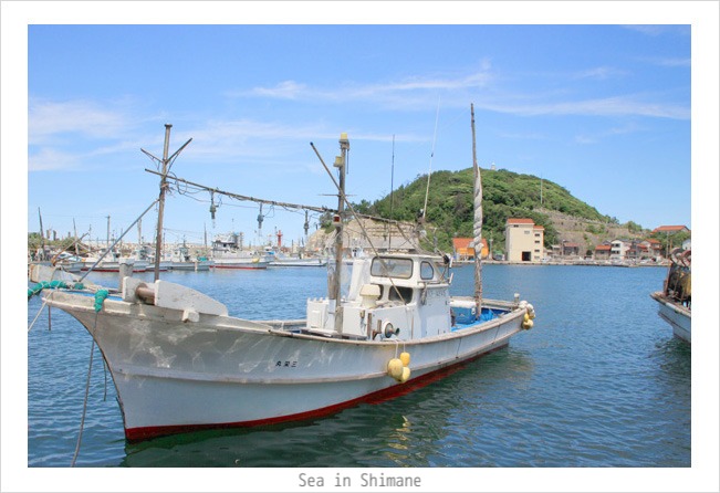 Sea in Shimane_f0147858_13241870.jpg