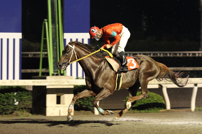 2010年7月4日（日） 高知競馬 10R 一発逆転 ファイナルレース B-4 記者選抜_a0077663_19191961.jpg